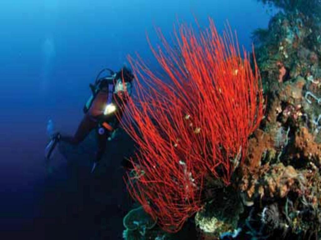 Tulamben Wreck Divers Resort & Restaurant Экстерьер фото