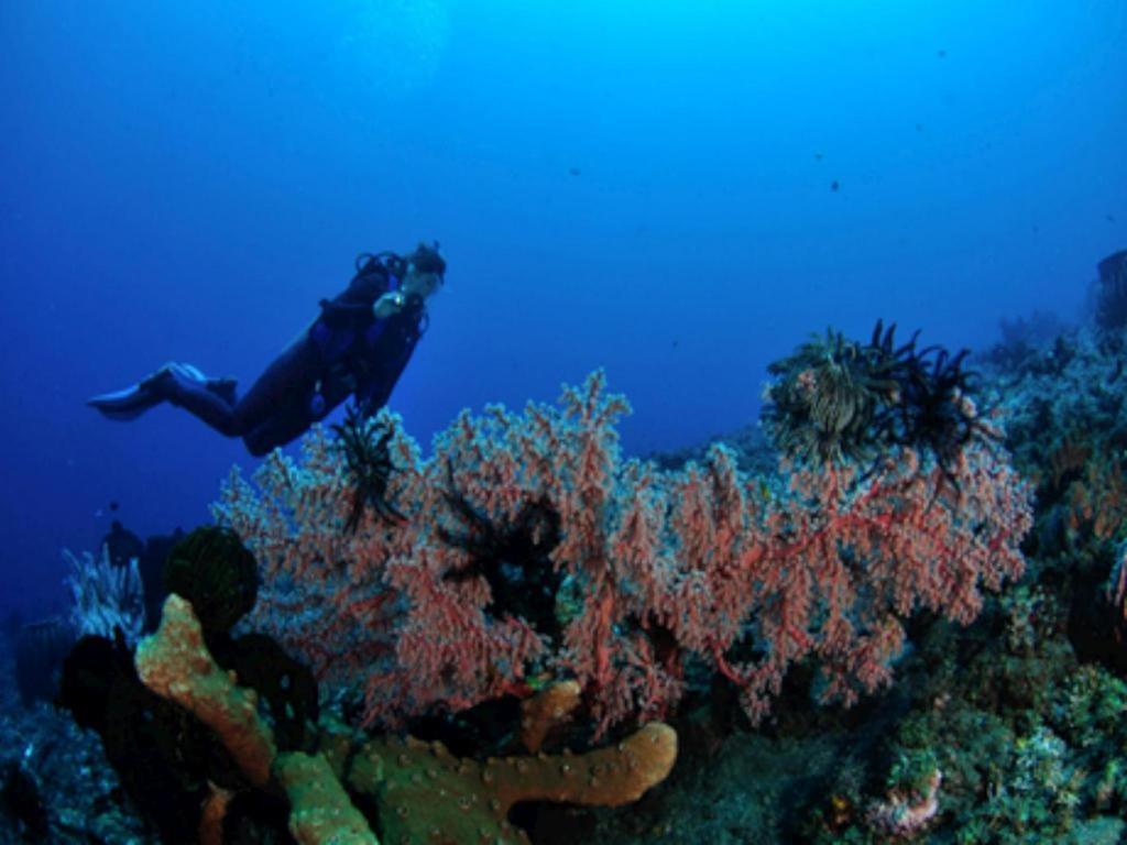 Tulamben Wreck Divers Resort & Restaurant Экстерьер фото