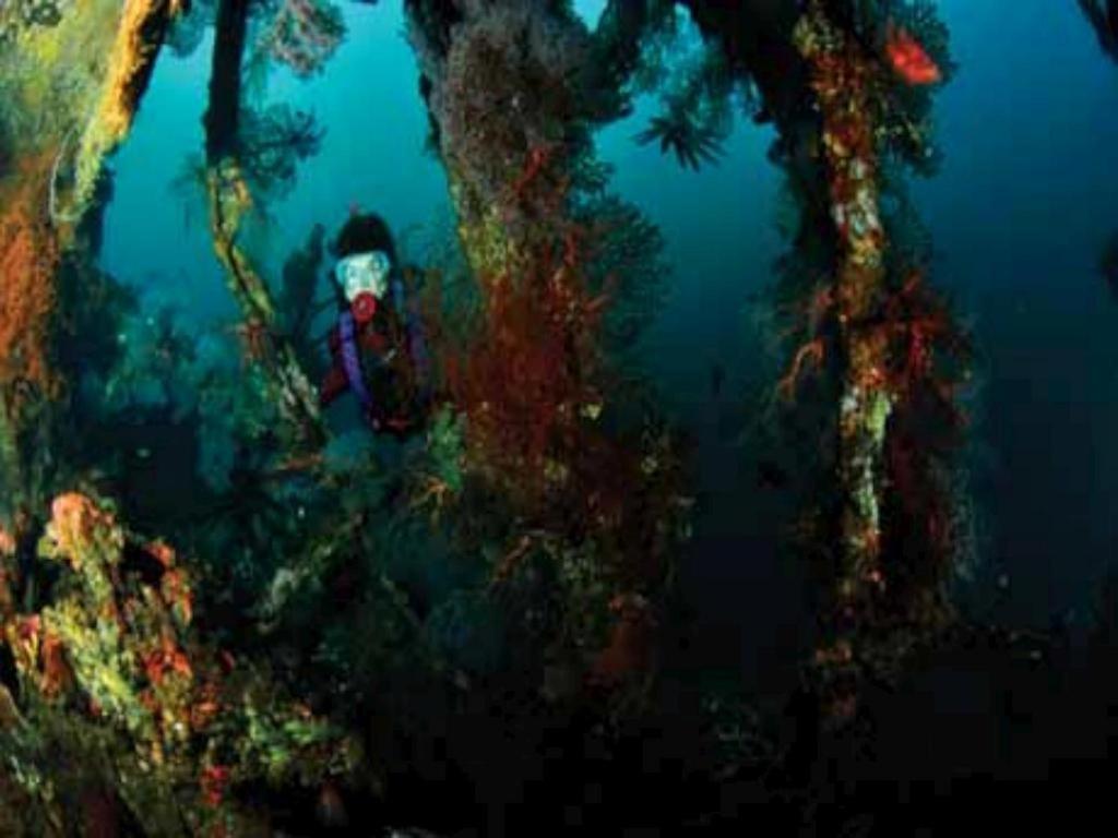 Tulamben Wreck Divers Resort & Restaurant Экстерьер фото